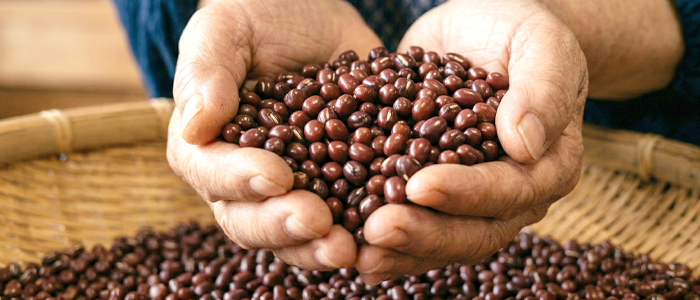 あずきの栄養素